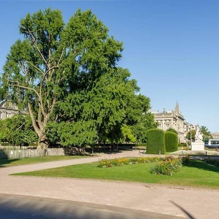 Magnifique Appartement Au Coeur De La Petite France Strasbourg Exteriör bild